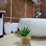 Dioniz * Zára